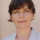 Visitador Farmacéutico